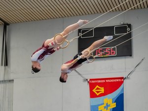 schaniel und Luethi