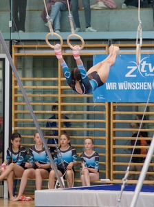 Schaukelringe Volketswil