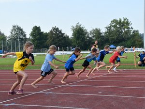 Vorläufe Sprint