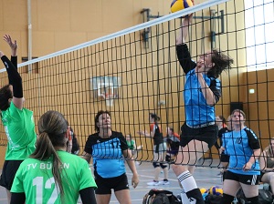 Volleyball Bülach