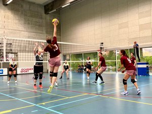 Volley Damen NSW