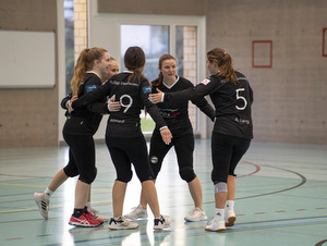 Faustball Elgg