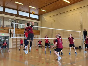 TV Mettmenstetten vs TV Ried